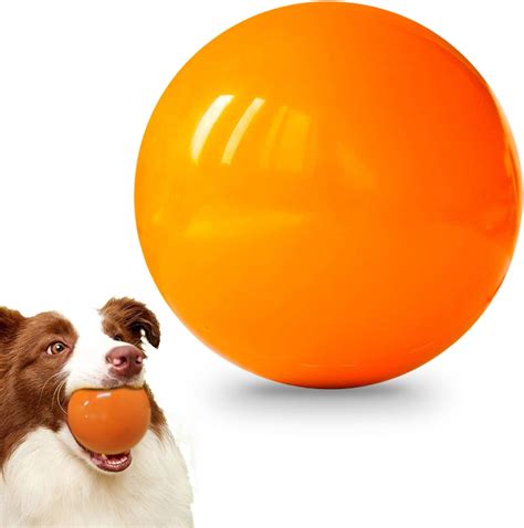 bouncy ball dog|More.